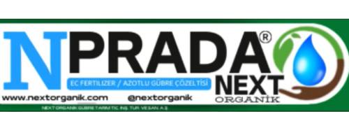 N Prada Next kapak