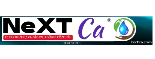 Next Ca kapak