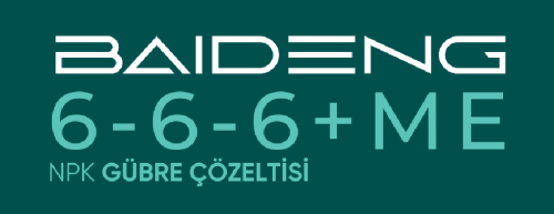 Baideng 6-6-6+ME