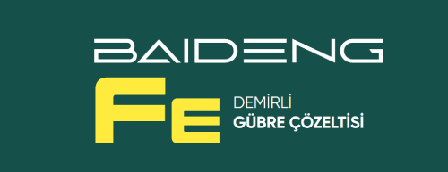 Baideng Fe