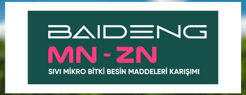 Baideng Mn-Zn