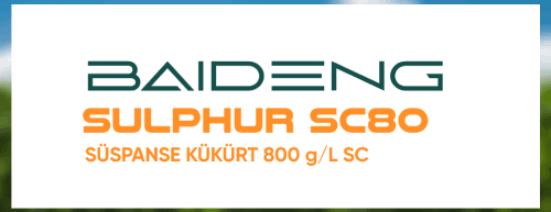Baideng Sulphur kapak