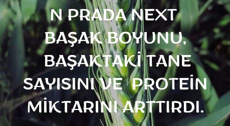 N Prada Edirne Başak 01
